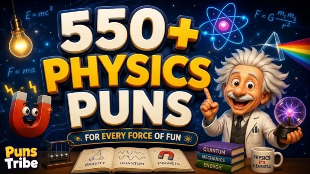 An illustrative poster graphic for "550+ PHYSICS PUNS for every force of fun," featuring a stylized caricature of Albert Einstein holding a plasma globe, a friendly cartoon magnet, a prism, and books, all set in a colorful physics-themed composition.